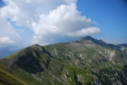 Clicca qui per vedere l'immagine in dettaglio